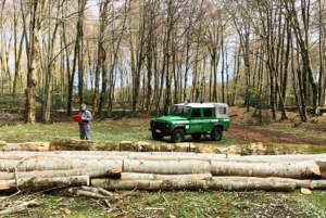 Taglio abusivo di alberi, 5 arresti