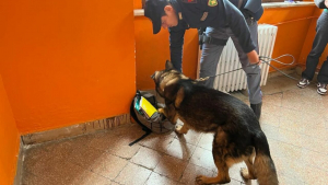 Controlli antidroga nelle scuole: cane ispeziona le scuole di Rogliano