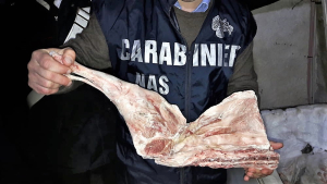 Controlli a due macellerie nel reggino: sequestrati 280 kg di carne