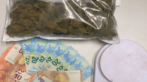 In giro in auto con diverse dosi di marijunana: due denunce a Vibo