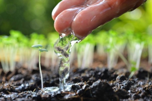 Successo per &ldquo;Adotta un&rsquo;area verde&rdquo; a Crotone
