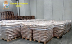 Gdf Udine scopre truffa import pellet