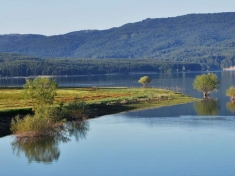 &ldquo;Insieme per l&rsquo;Unesco&rdquo;, lanciata la campagna per il Parco della Sila