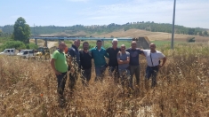 Quando il Consorzio fa da se, fa per tre