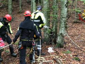 Fungaiolo scomparso da sabato, riprese le ricerche