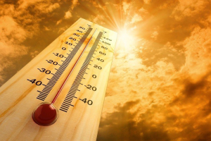Scuole roventi e uffici invivibili: FLC CGIL Calabria lancia l'allarme in vista del rientro delle classi. Rilevati oltre 35&deg;C durante la programmazione