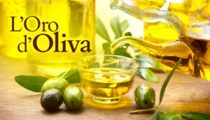 L&rsquo;ORO D&rsquo;OLIVA: percorso alla scoperta della millenaria storia dell&rsquo;olio e dell&rsquo;ulivo