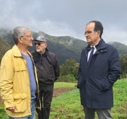 Valle del Bonamico in Aspromonte, sopralluogo del consigliere regionale Enzo Bruno: ''Subito risposte sui rimborsi agli allevatori''