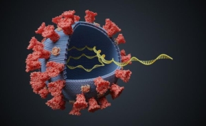 Covid-19, anche in Calabria un caso di variante omicron