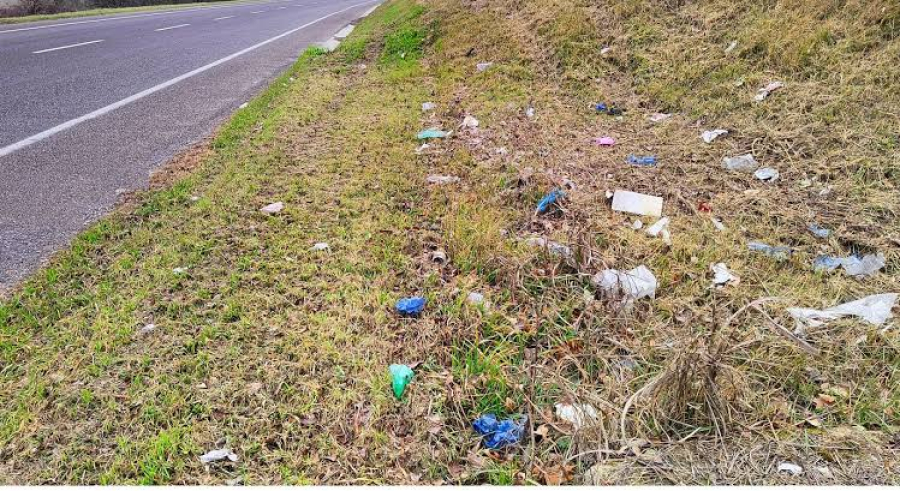 Rifiuti sulle strade calabresi, Barbuto (M5S): ''Depositata mozione per tutelare ambiente, prevenire incendi e allagamenti''