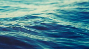 Acque marine: partnership di ricerca con Arpacal e ISPRA su rivista scientifica internazionale MDPI