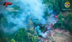 Ripreso dal drone mentre appicca incendio boschivo, decisive le immagini del mezzo del progetto ''Tolleranza Zero'' della Regione Calabria