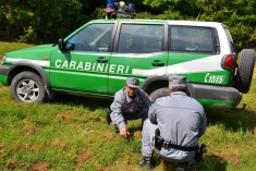 Calabria, "I Paesaggi della Legalita'" nei boschi in Sila
