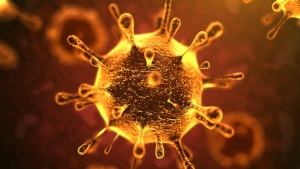 Coronavirus: seconda vittima in Calabria
