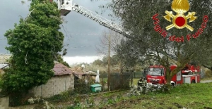 Maltempo: 30 interventi dei Vigili del Fuoco nel vibonese